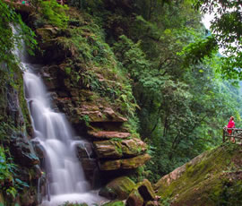碧峰峽、上里古鎮(zhèn)二日游