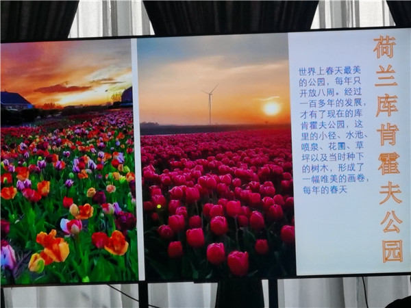 四川中青旅綿陽(yáng)分社獨(dú)家定制圓夢(mèng)歐洲系列 - 大全景 9 國(guó) 16 天 德國(guó)-法國(guó)-瑞士-意大利-奧地利-荷蘭-比利時(shí)-列支敦士登-盧森堡